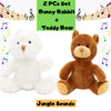  Jungle Friends Talking Plush Toy 2 Pc